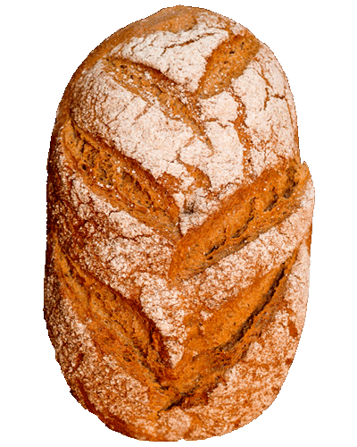 Vollkornbrot